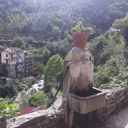 The Window With A View 招待所